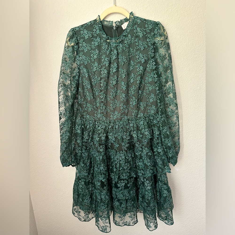 Rachel Parcell metallic embroidered lace dress